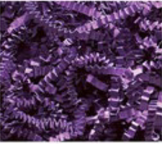 Sizzle - Purple